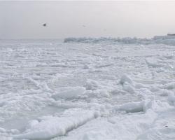 Опасность замерзшего моря