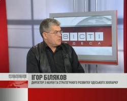 Игорь Беляков гость в студии Вести Одесса