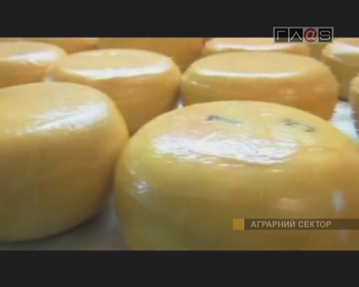 Французский сыр будут изготовливать в Бессарабии