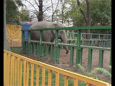 Одесский зоопарк лучший в Украине