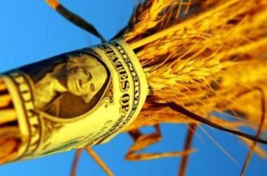 В России ввели пошлины на экспорт пшеницы