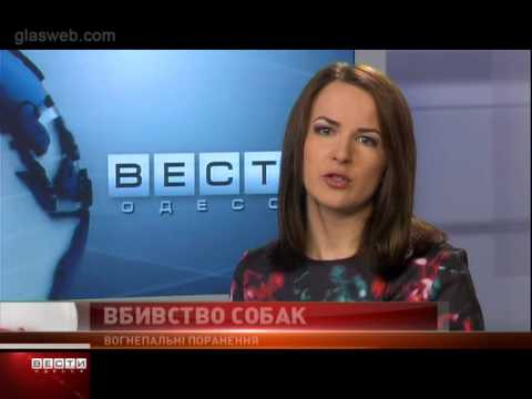 ВЕСТИ ОДЕССА ФЛЕШ за 16 февраля 2015 года 18:00