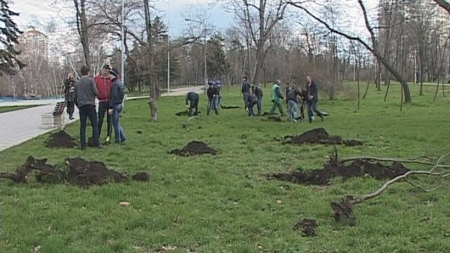В парке Победы студенты высадили 70 деревьев