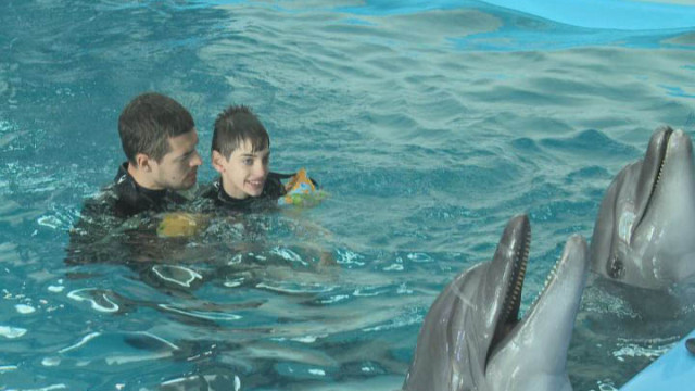 Дети с ДЦП: дельфинотерапия в подарок