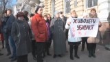 Зоозащитники бьют в набат: в Одессу приехали догхантеры