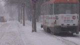 Зима продолжается: снег в Одессе будет усиливаться