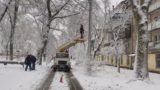 В Одесі території дитсадків стають непрохідними через деревопад